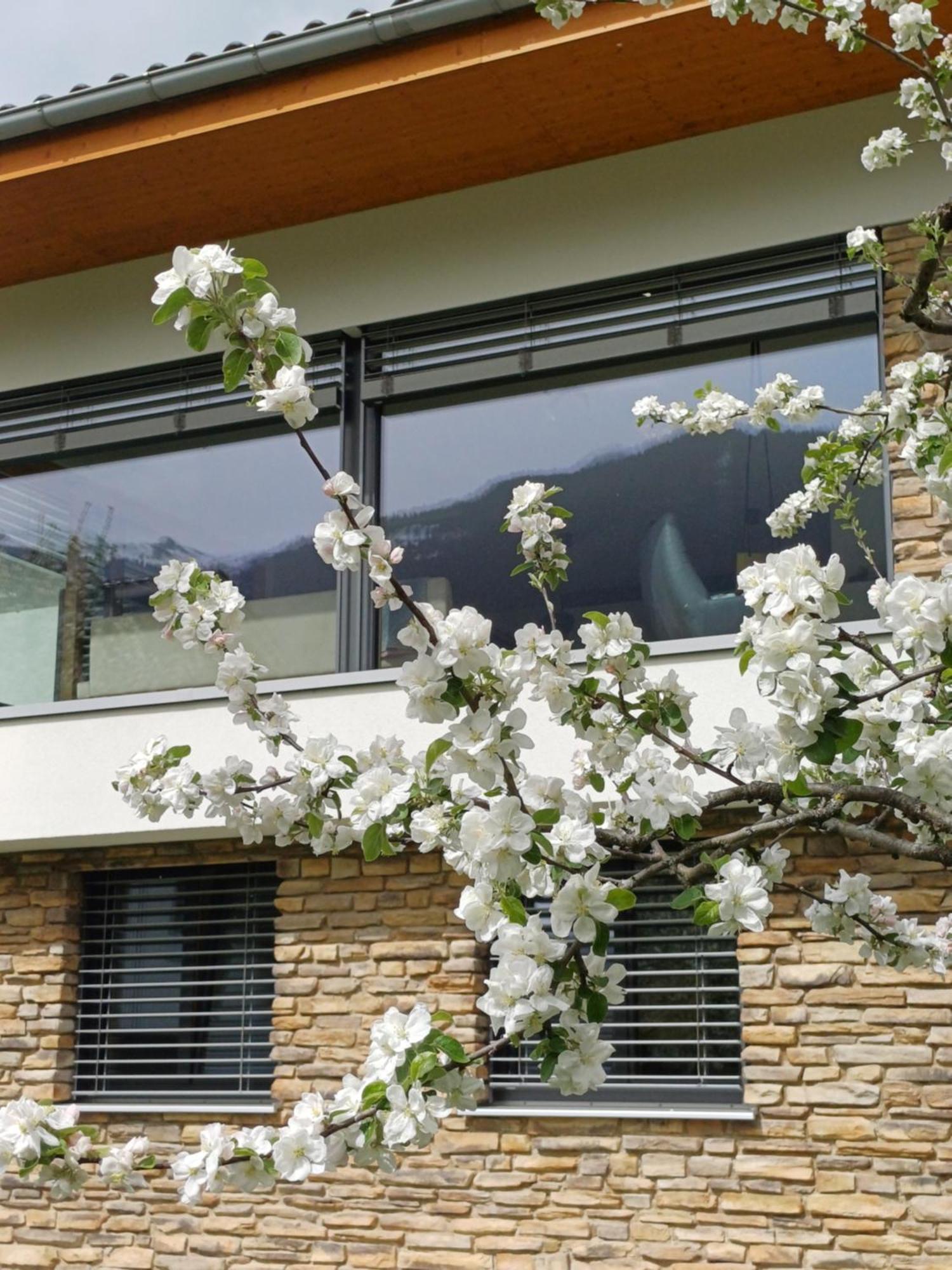 Ferienhaus Raich Vandans Zewnętrze zdjęcie